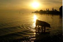 Friedrichshafen