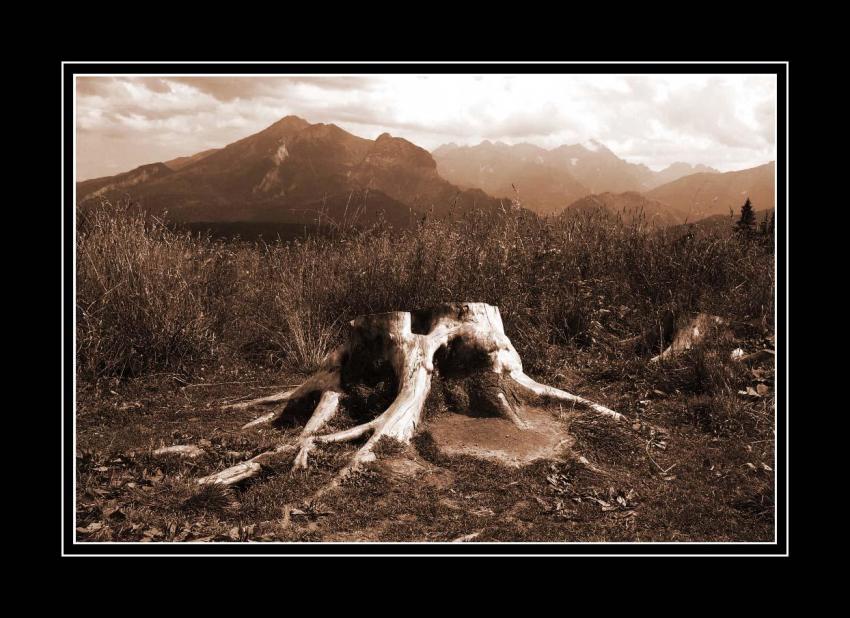 Gdzieś w górach .....