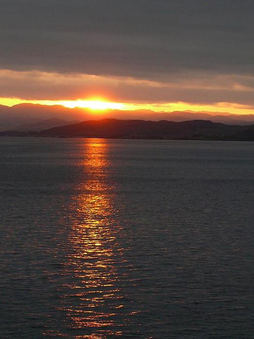 Mortavika