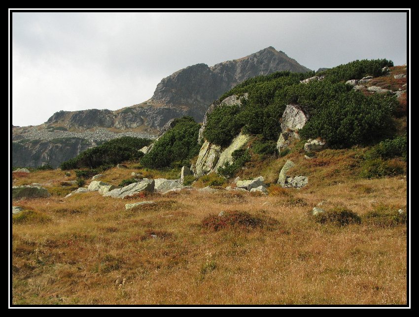 Tatry