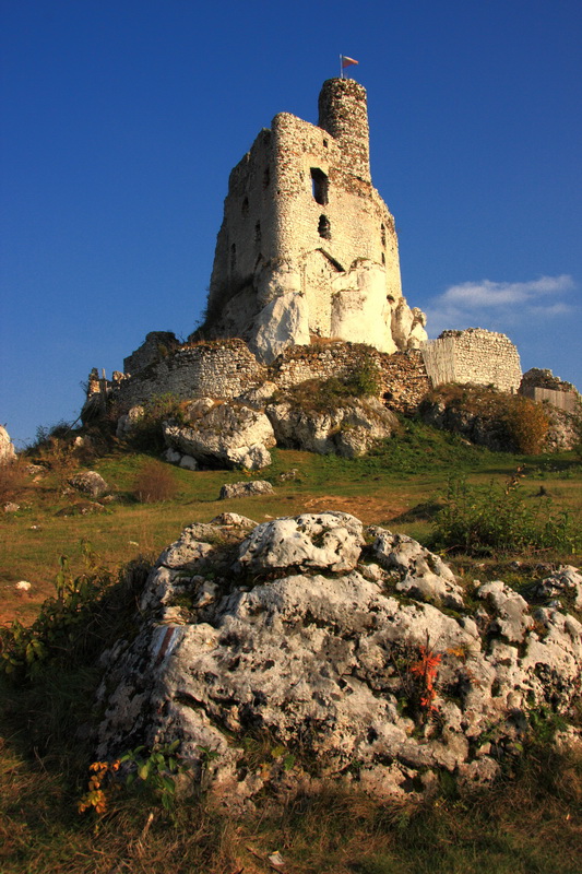 ostatki jesieni