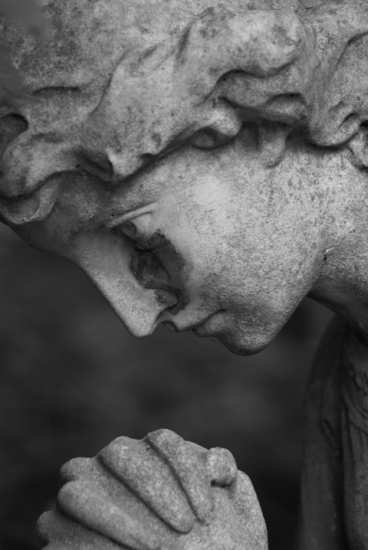 angel