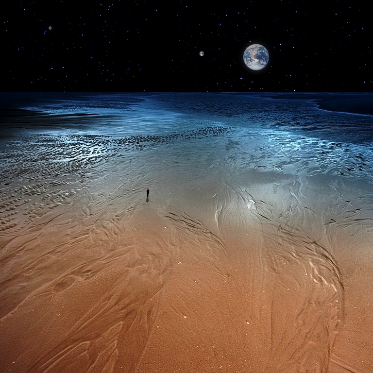 man on the moon