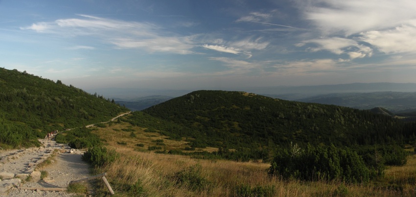 zgredzik