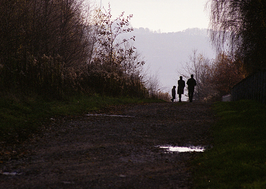 120_typ
