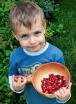 lato