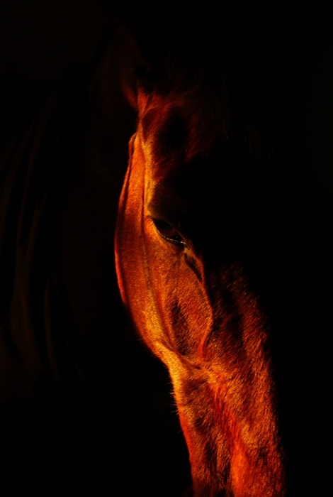 wotan