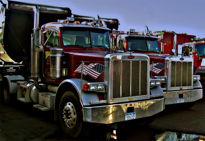 American Muscle