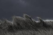 AberLady Scotland