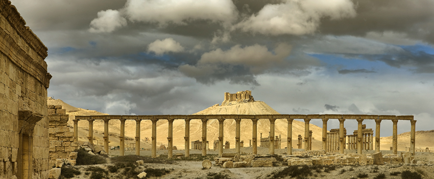 Palmira 3