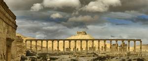 Palmira 3