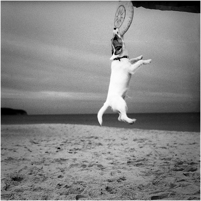 FRISBEE