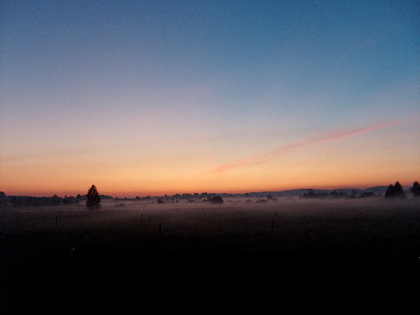 noc nad łąkami