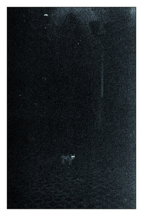 Noir