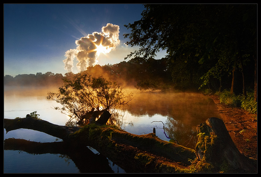 The Awakening...