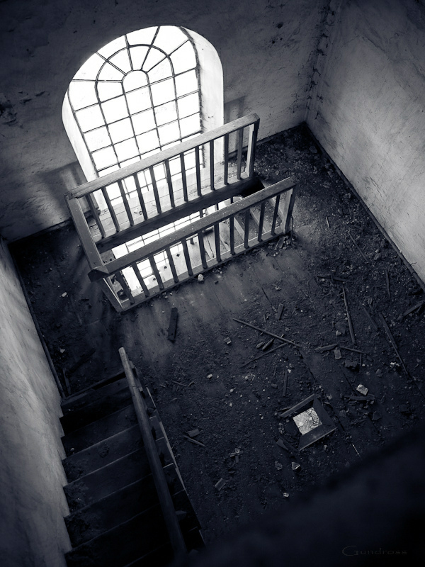 Asylum