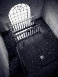 Asylum