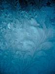 frozen