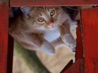 I see you