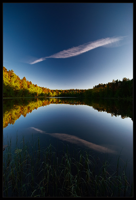 The Magic Place...