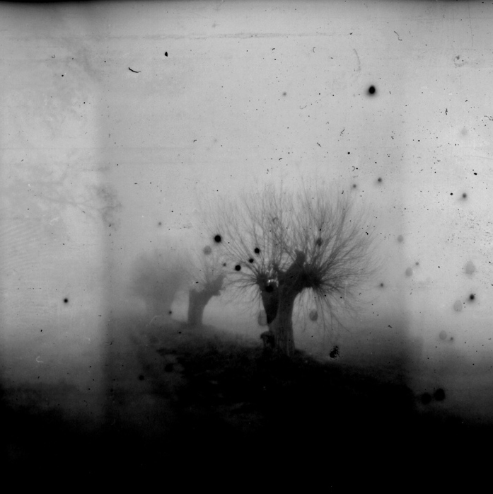 MIRROR REALITY (01)