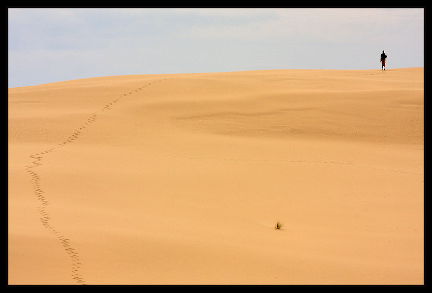 \\\\"Namib\\\\"