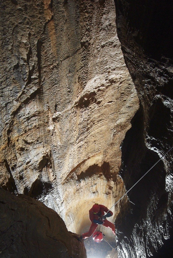 Zoran Jama