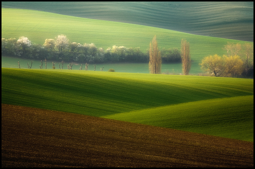 Bracia-wiosennie...