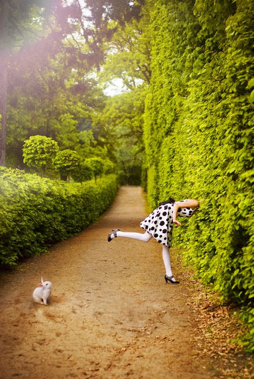 go ask alice
