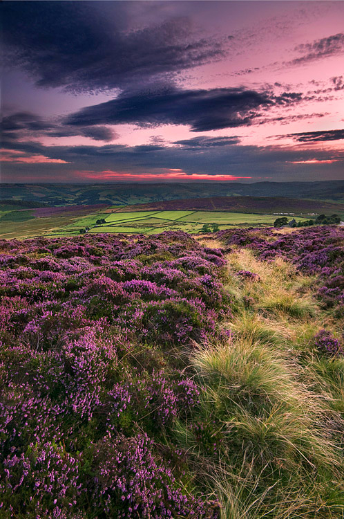 Stanton Moor