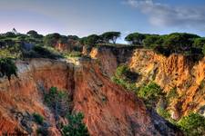 Pine Cliffs