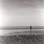 ...Crosby- \"Another Place Ltd\"