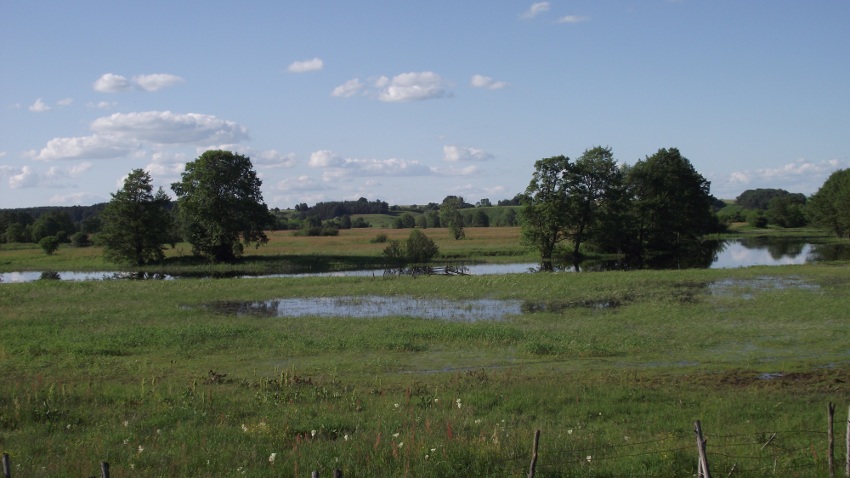 Krajobraz rzeki Narew