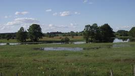 Krajobraz rzeki Narew