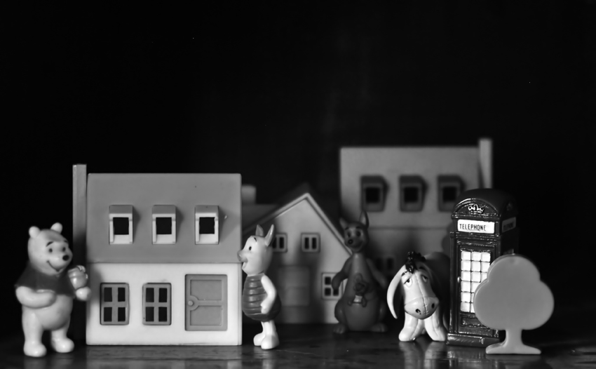 Creating their world