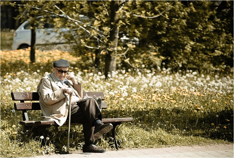 Memory five Siara i wszystko jasne