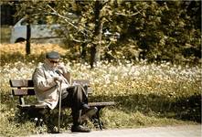 Memory five Siara i wszystko jasne