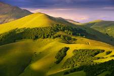 Golden light