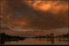 Narew