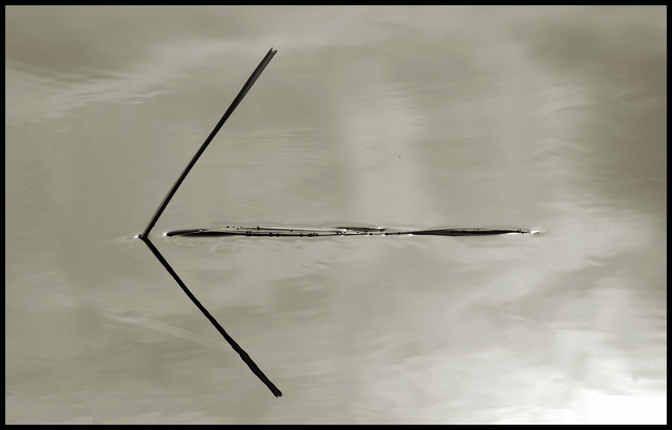 BALTORO