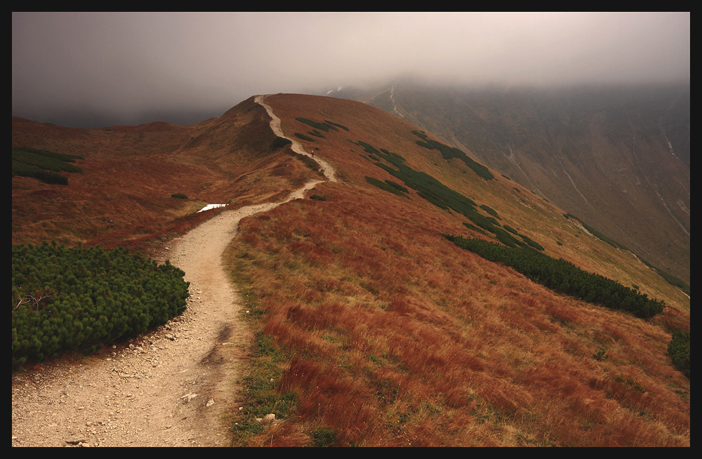 Tatry
