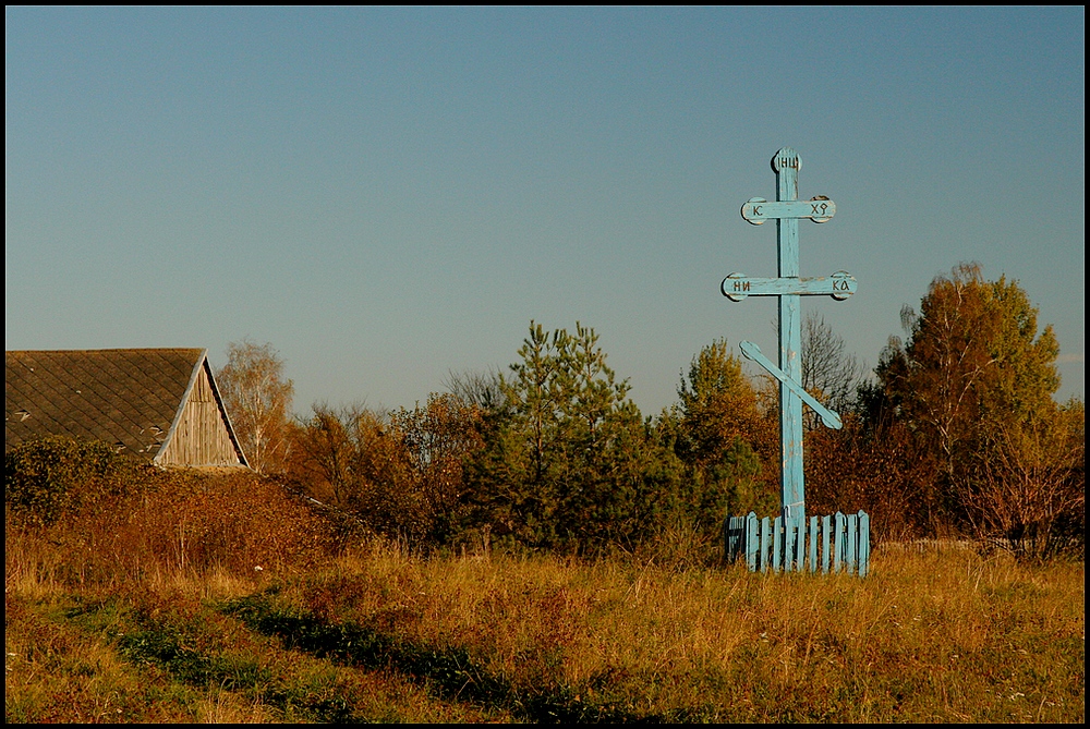 widoczek