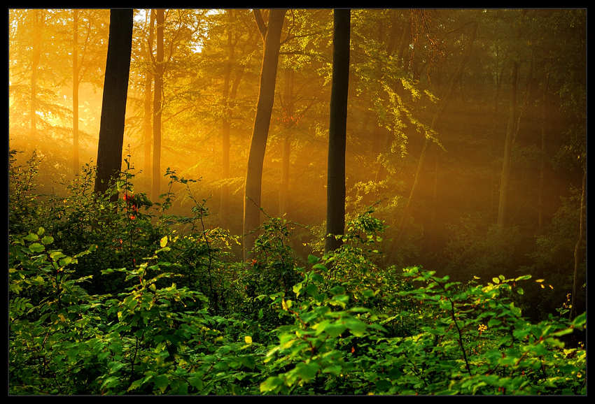 A New Day...