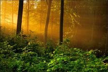 A New Day...