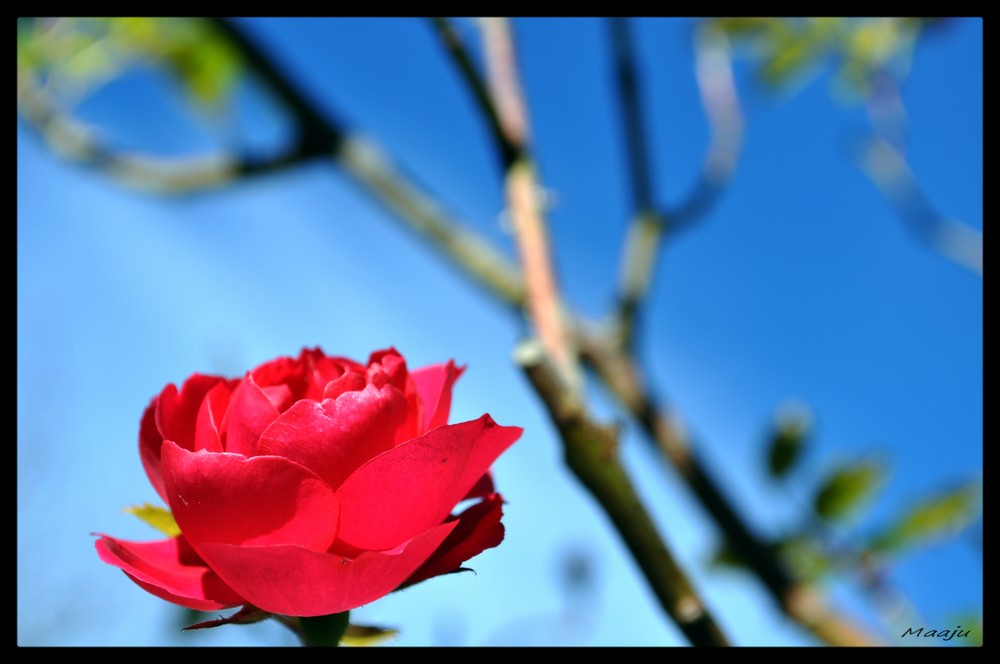 Ostatnie pozostałości lata...