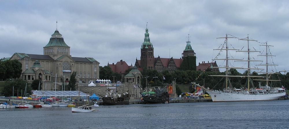 czarnooka