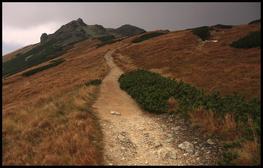 Tatry