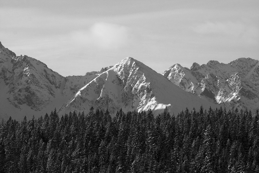Tatry
