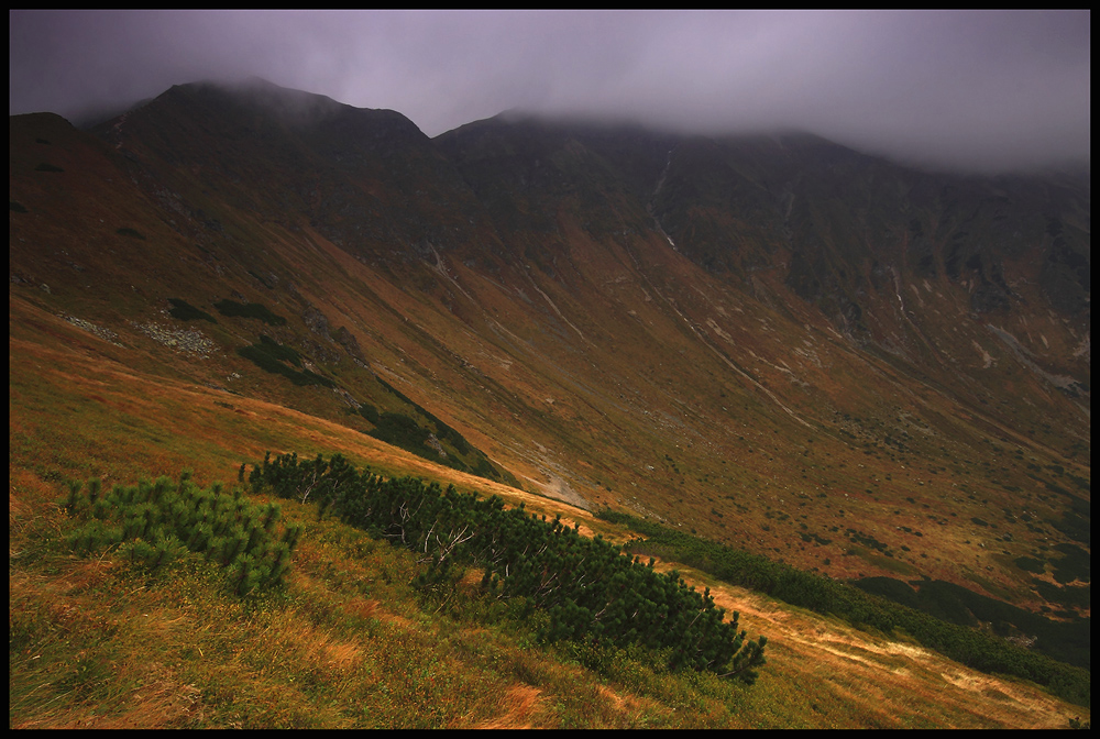 Tatry