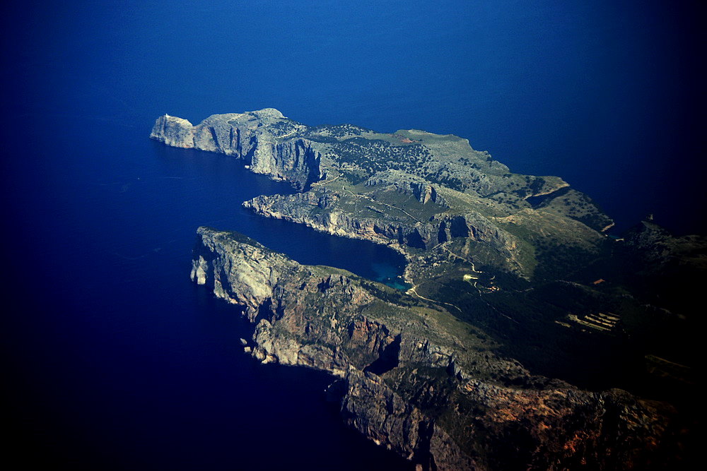 Majorka
